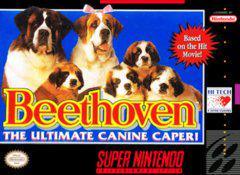 Beethoven - (Game Only) (Super Nintendo)