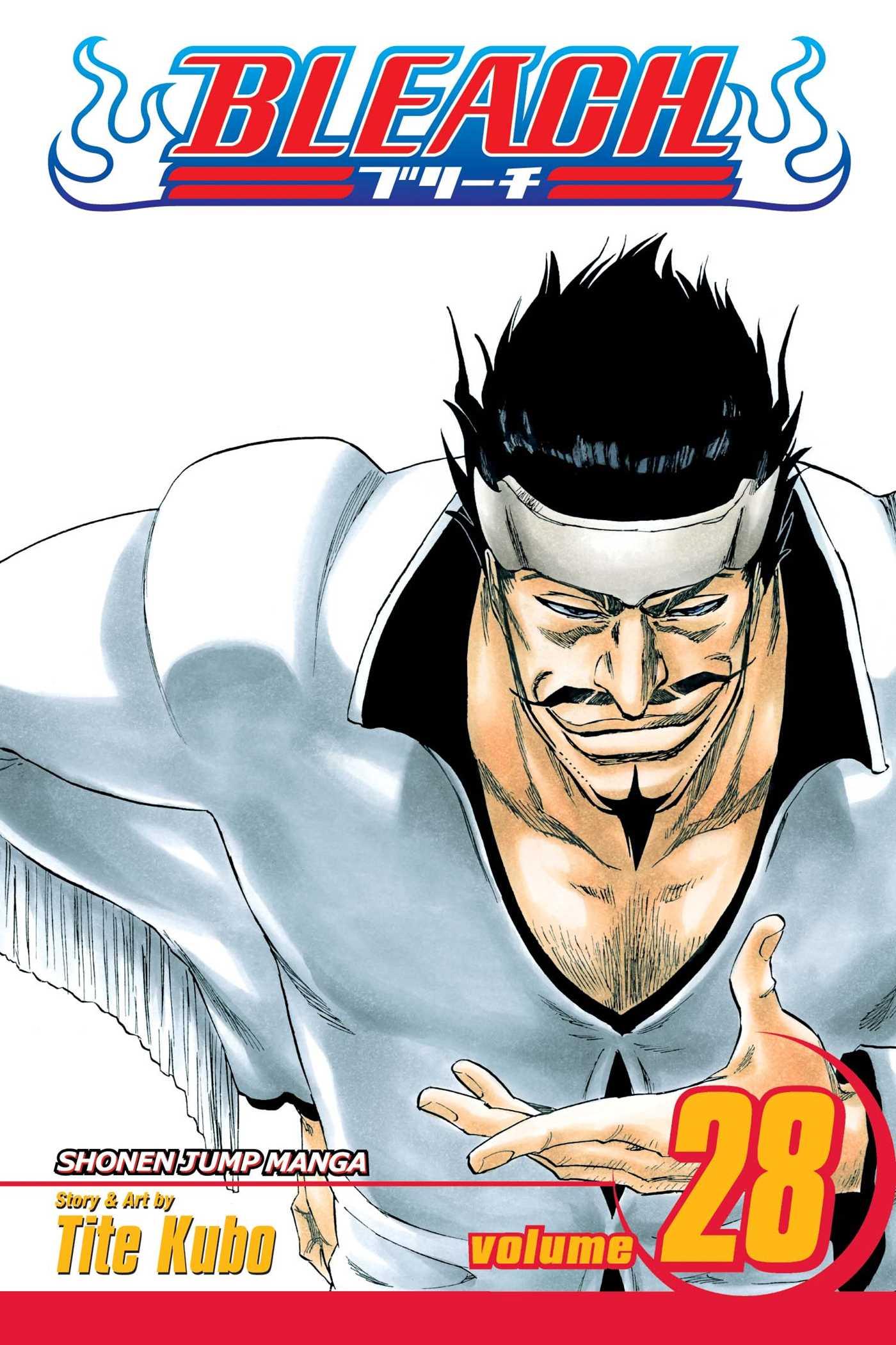 Bleach - Volume 28