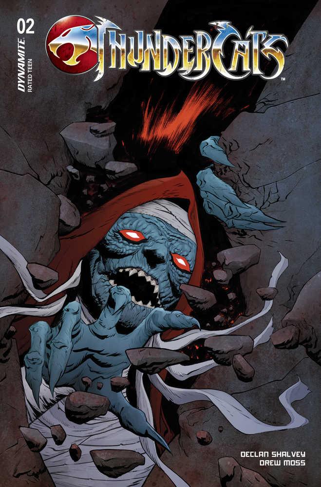 Thundercats #2 Cover D Lee & Chung