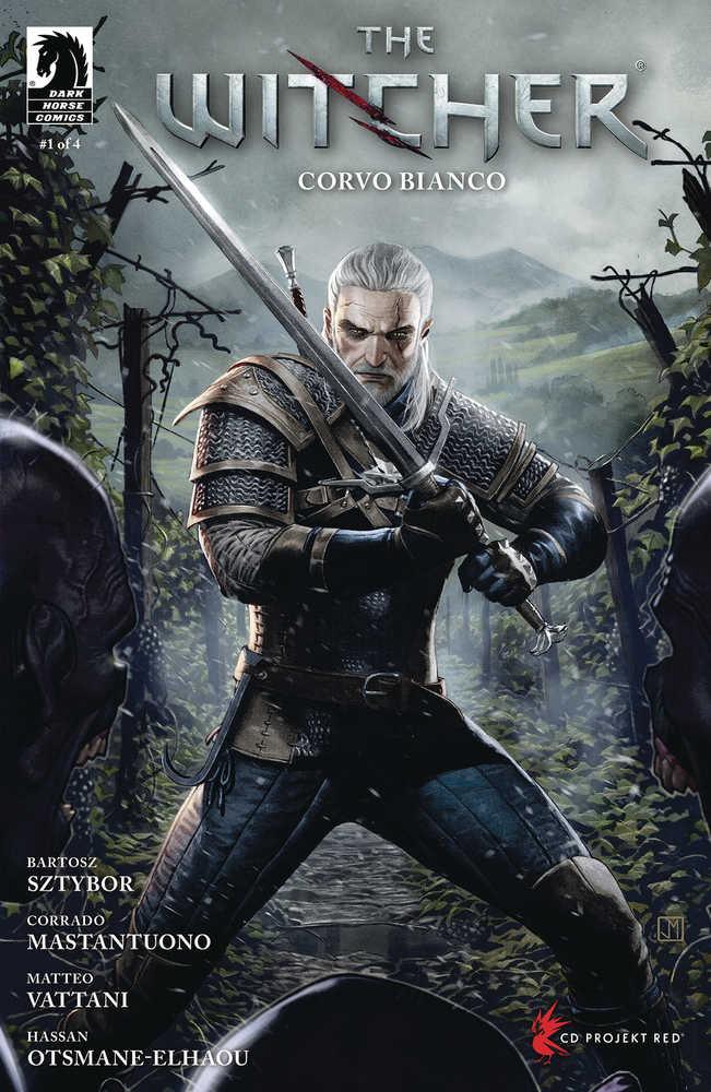 Witcher Corvo Bianco #1 Cover D Molina